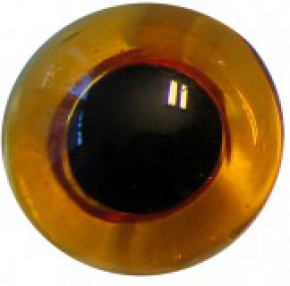 Occhi per bricolage, giallo-marrone, vetro, con occhiello