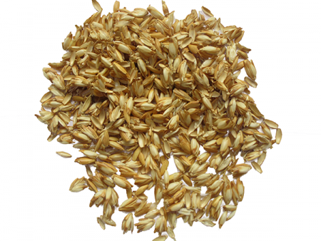 Pula di farro, scatola da 5 kg