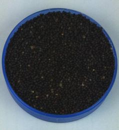 Bio-Rapssamen, 1 kg